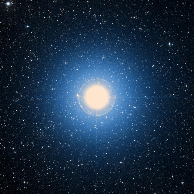 Sky survey frame centred on Adhara, 1° across.