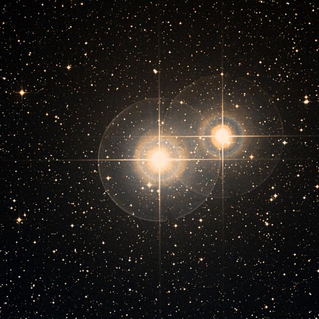 Sky survey frame centred on Algedi, 30′ across.