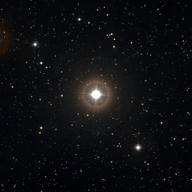 Sky survey frame centred on Alsafi, 30′ across.