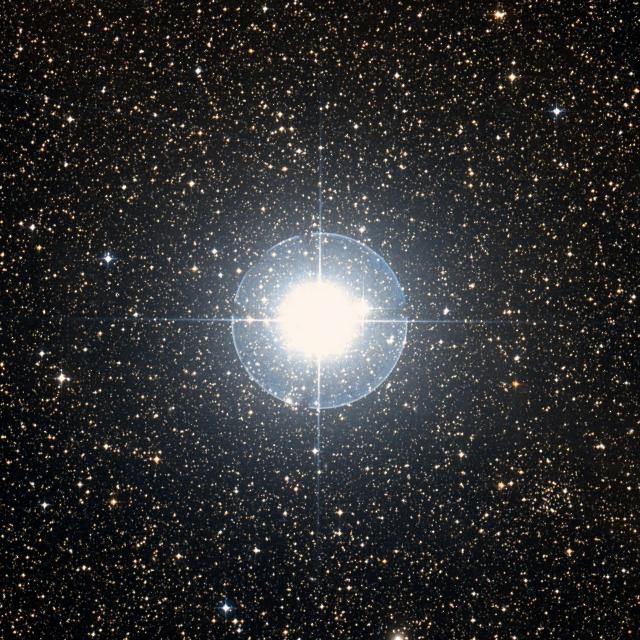 Sky survey frame centred on Aludra, 42′ across.