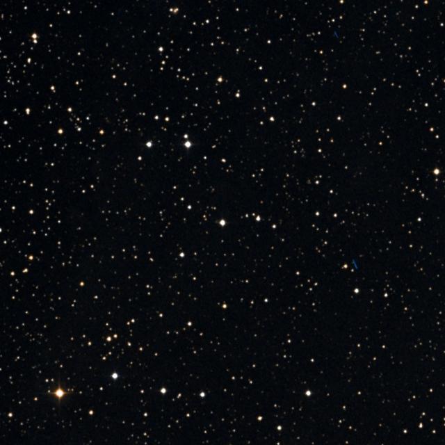 Sky survey frame centred on Berehynia, 18′ across.
