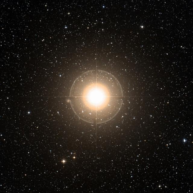 Sky survey frame centred on Cebalrai, 42′ across.