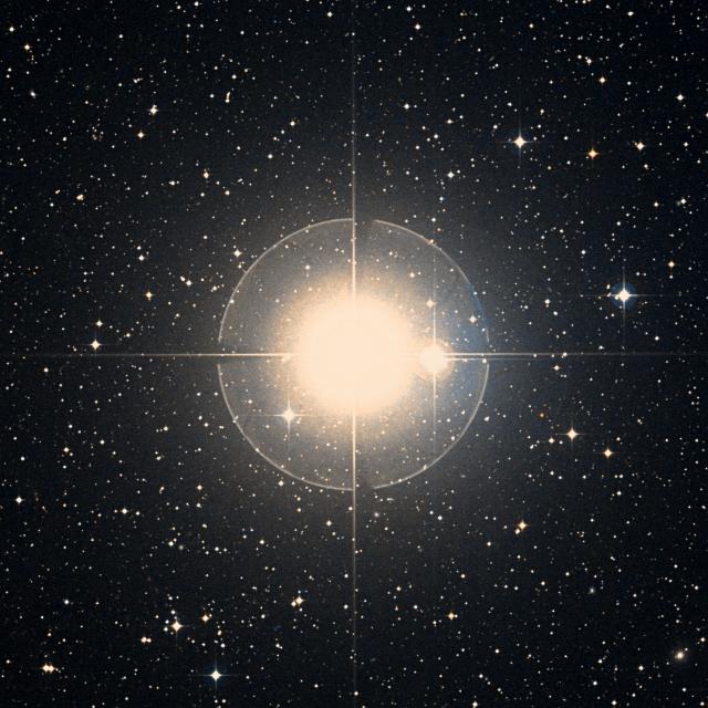 Sky survey frame centred on Dabih, 30′ across.