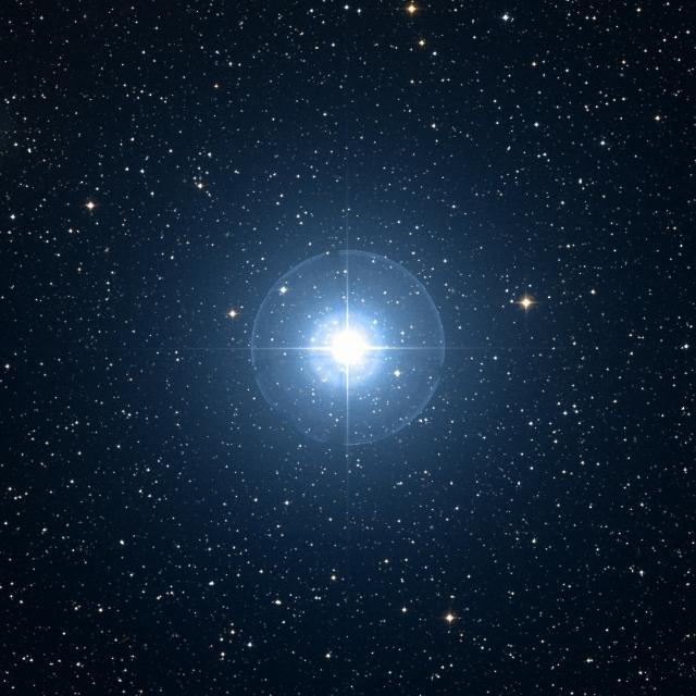 Sky survey frame centred on Gomeisa, 42′ across.