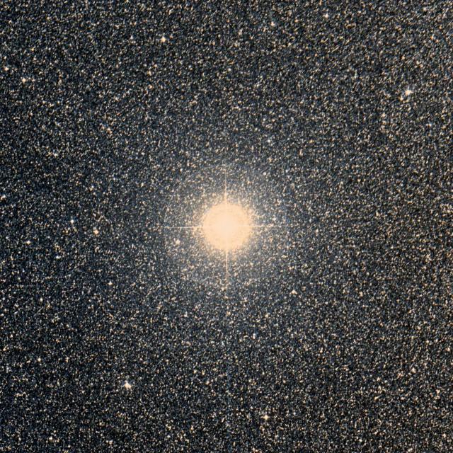 Sky survey frame centred on Kaus Media, 42′ across.