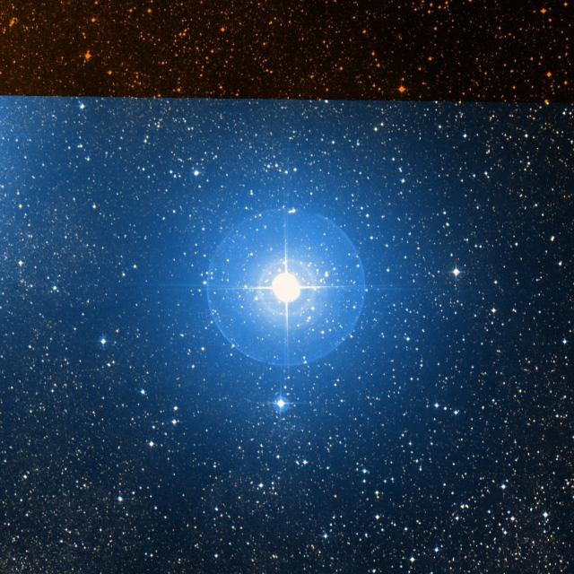 Sky survey frame centred on Lesath, 42′ across.
