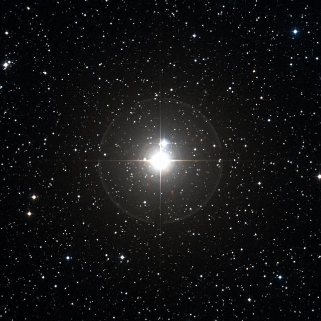 Sky survey frame centred on Mekbuda, 30′ across.