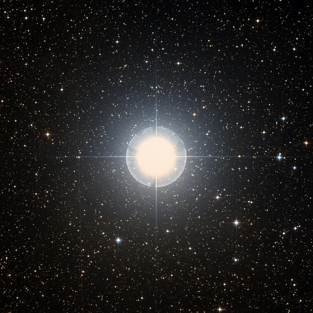 Sky survey frame centred on Mirzam, 1° across.