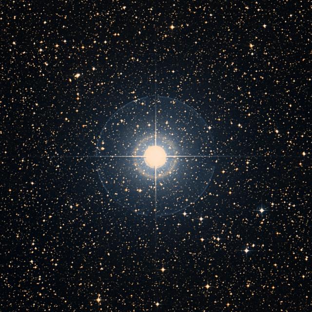 Sky survey frame centred on Muliphein, 30′ across.