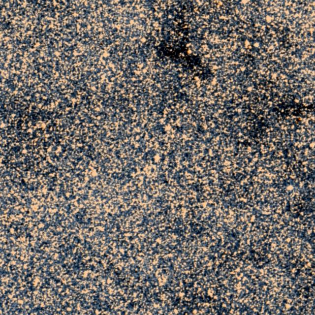 Sky survey frame centred on Pincoya, 18′ across.