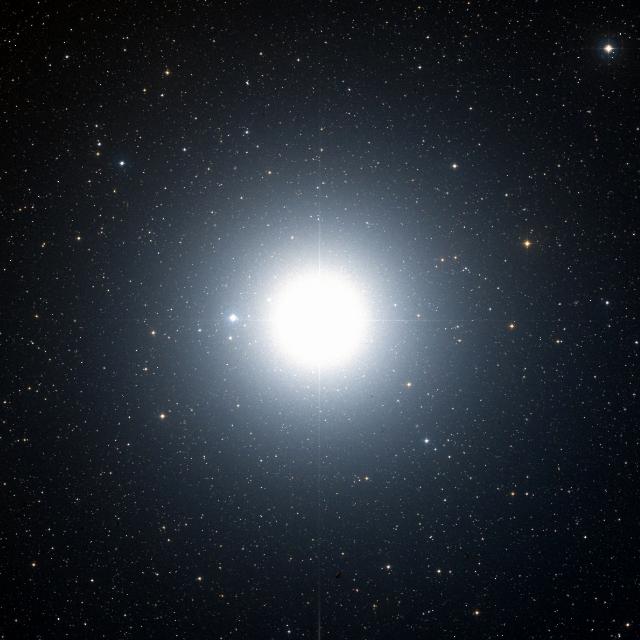 Sky survey frame centred on Procyon, 1.5° across.