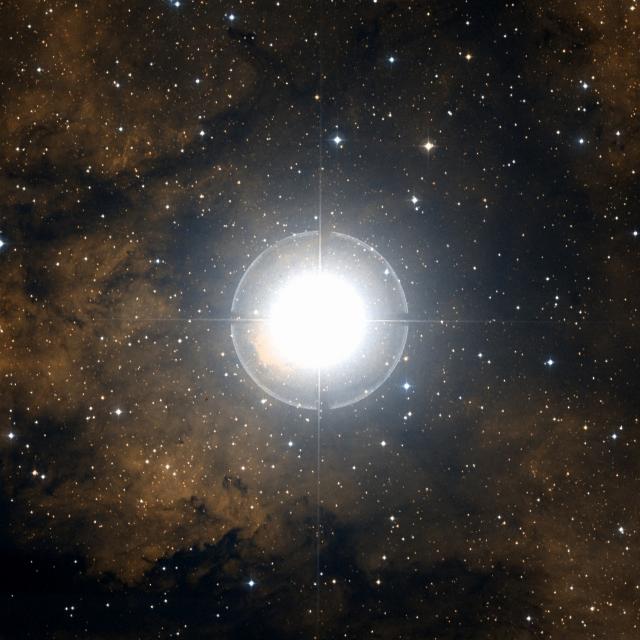 Sky survey frame centred on Sadr, 42′ across.