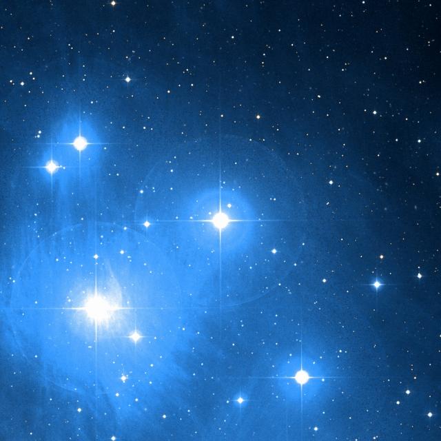 Sky survey frame centred on Taygeta, 30′ across.