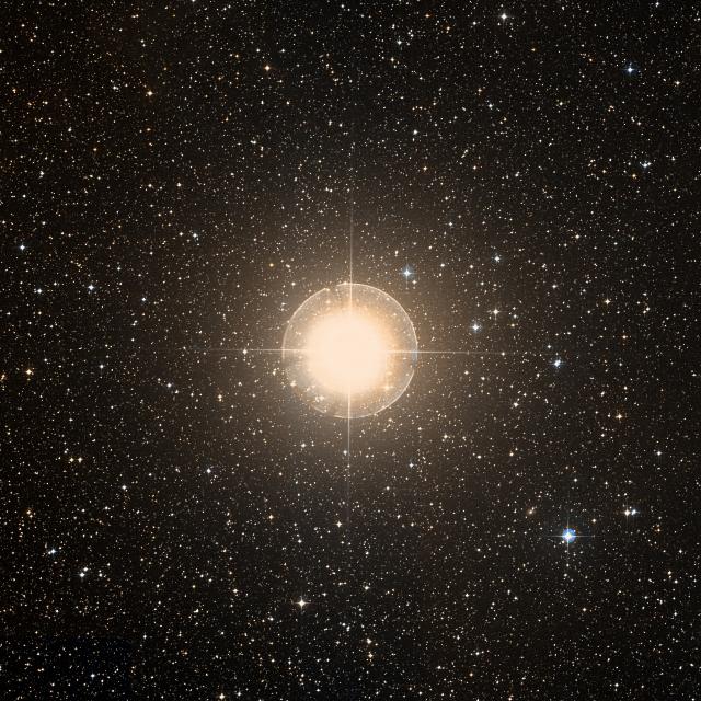 Sky survey frame centred on Wezen, 1° across.