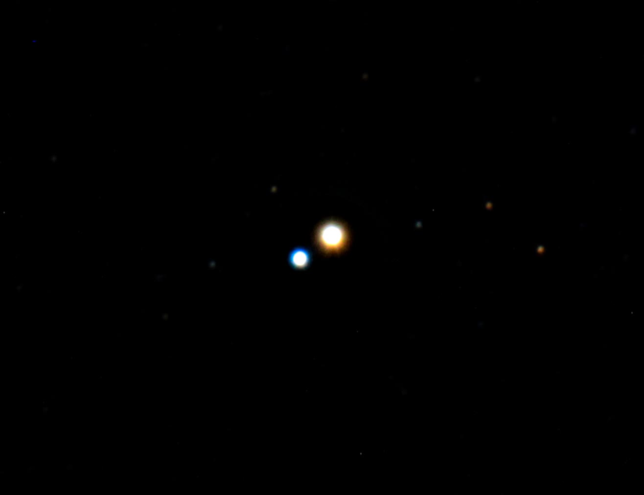 Albireo seen through an 8-inch amateur telescope, which splits it into a golden main star at centre and its blue companion just to the lower left.